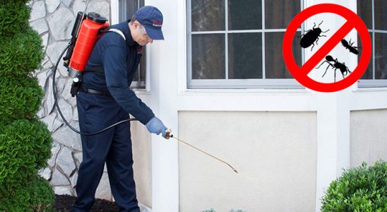 Burhaniye Hamam Böceği İlaçlama böcek ilaçlama ve haşere kontrolü — ilaclama-tr.com